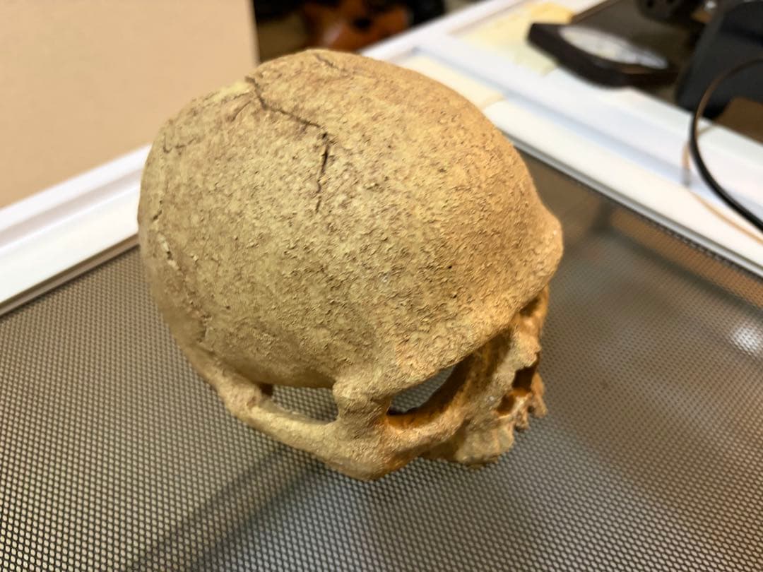 中型飼育ケージ パンテオンホワイト9045