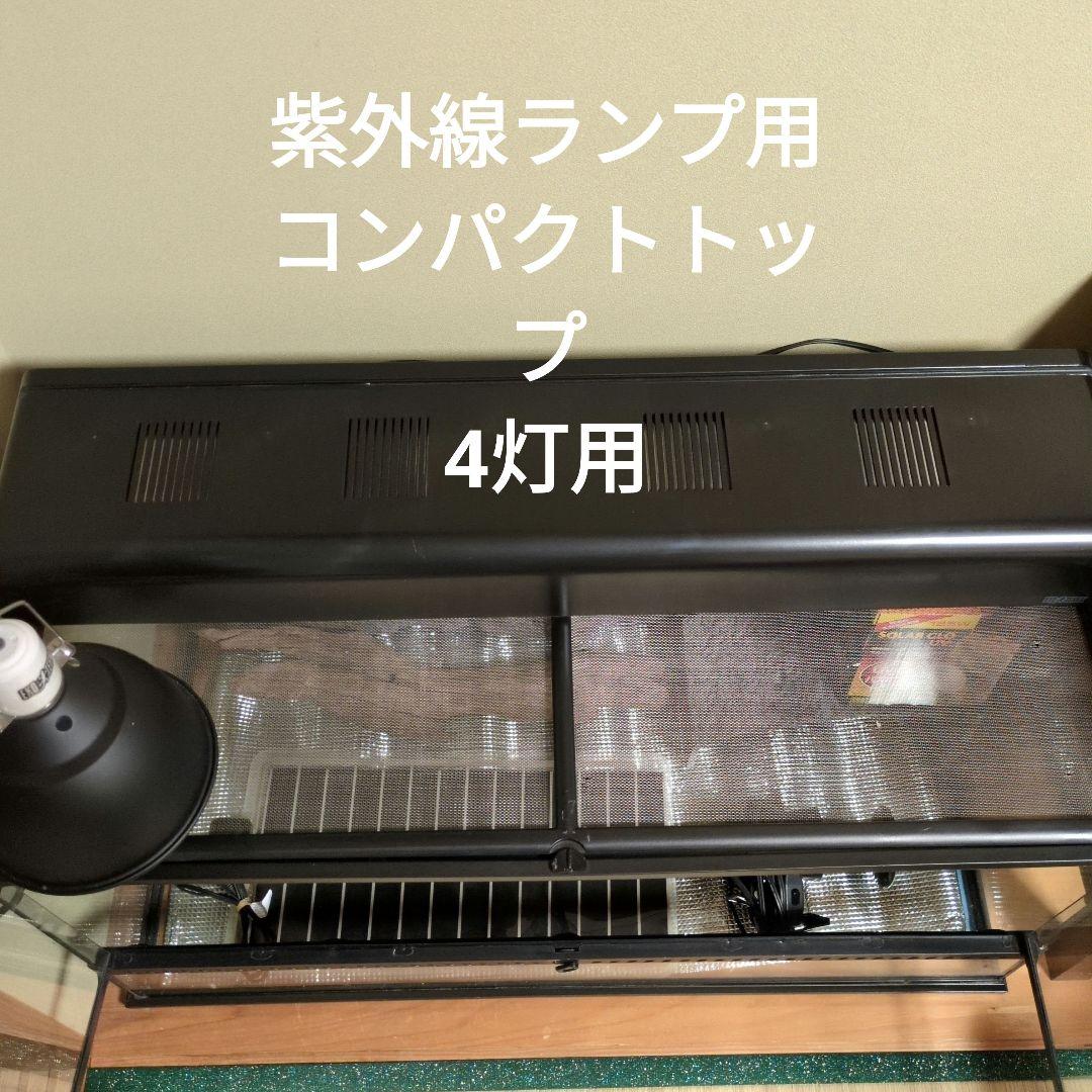 furuさま専用　ガラステラリウム 9045 備品一式つき