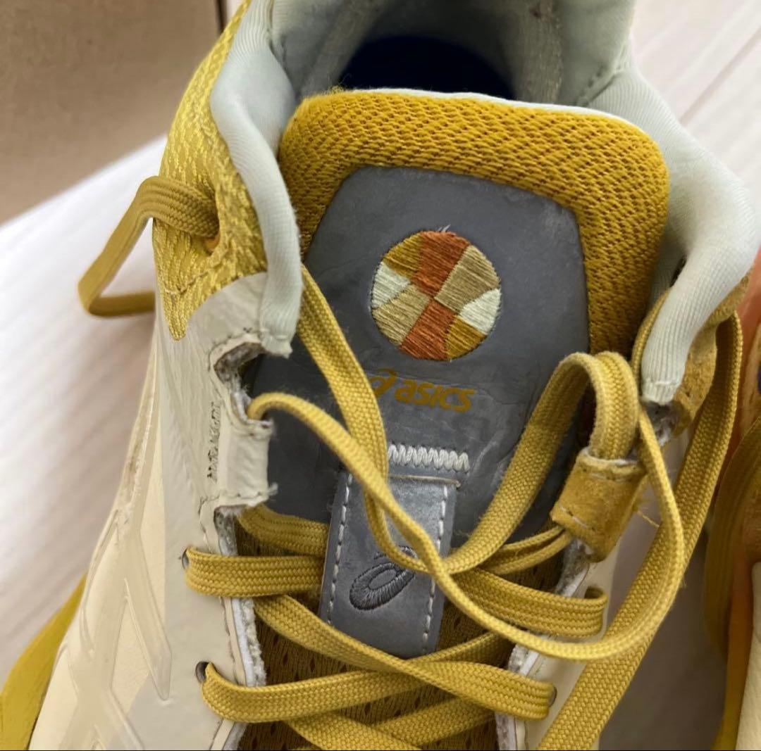 交渉可 asics ballaholic nova surge low 26