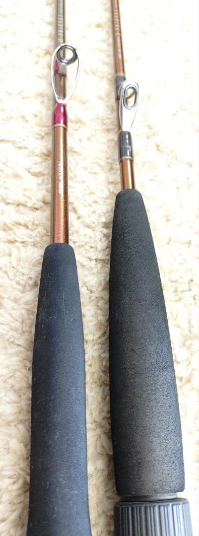 【Daiwa】LEADING 2本