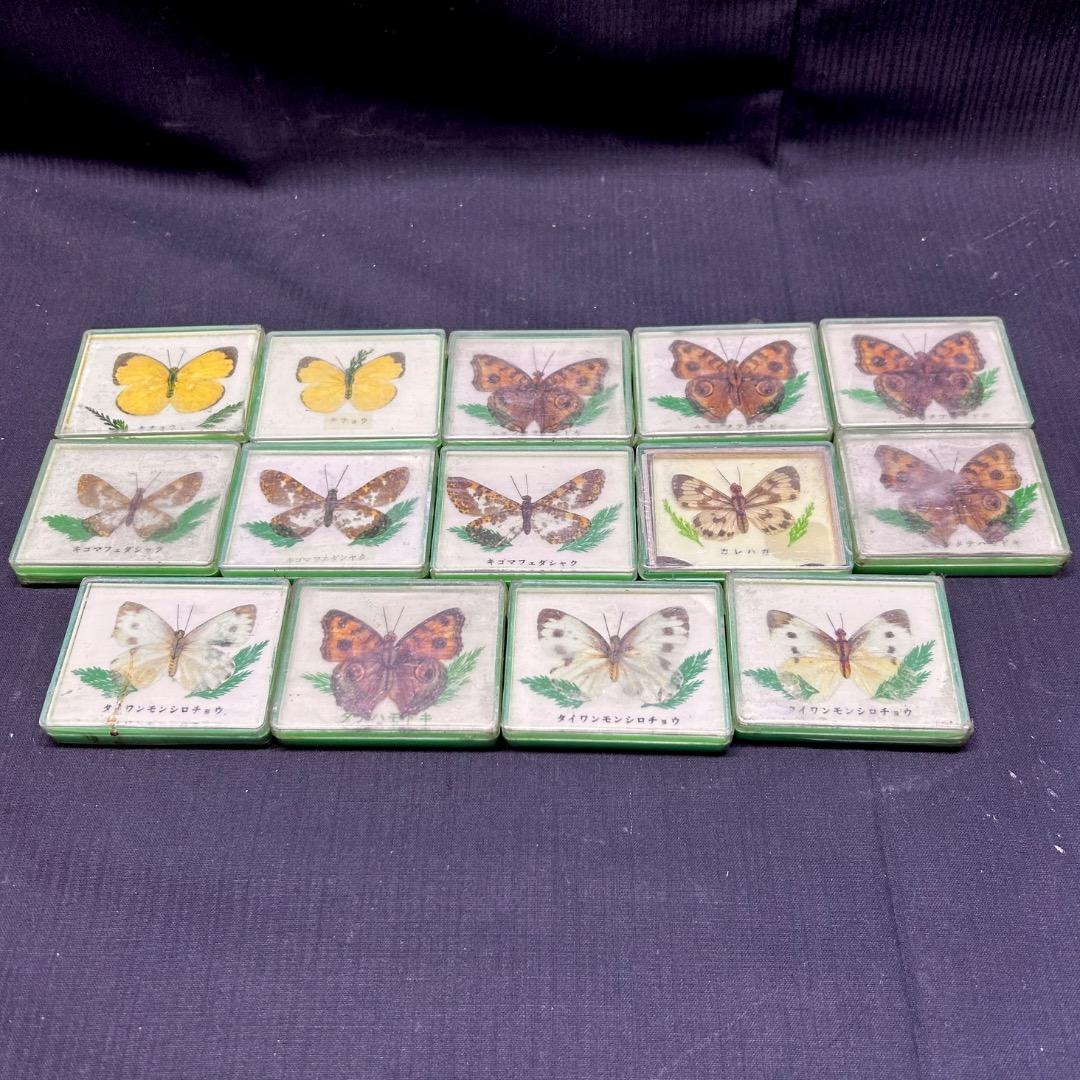 ▽Ca右318▼ レア パチンコ 特殊景品 昆虫 標本 蝶 蛾 14点まとめ