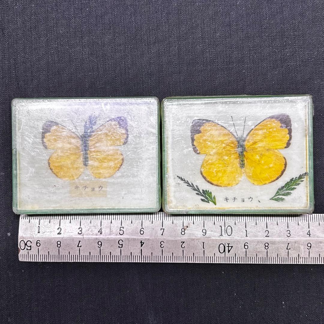 ▽Ca右318▼ レア パチンコ 特殊景品 昆虫 標本 蝶 蛾 14点まとめ