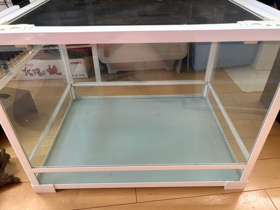 REPTI WILD 6045 爬虫類 ゲージ オマケ付き