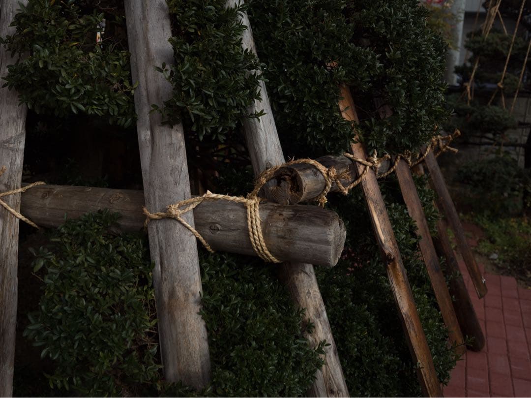 Mamiya CCD デジタルバック