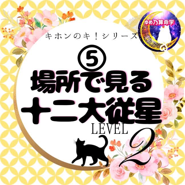 ムックさん専用（他の方はリンクからお願い致します）