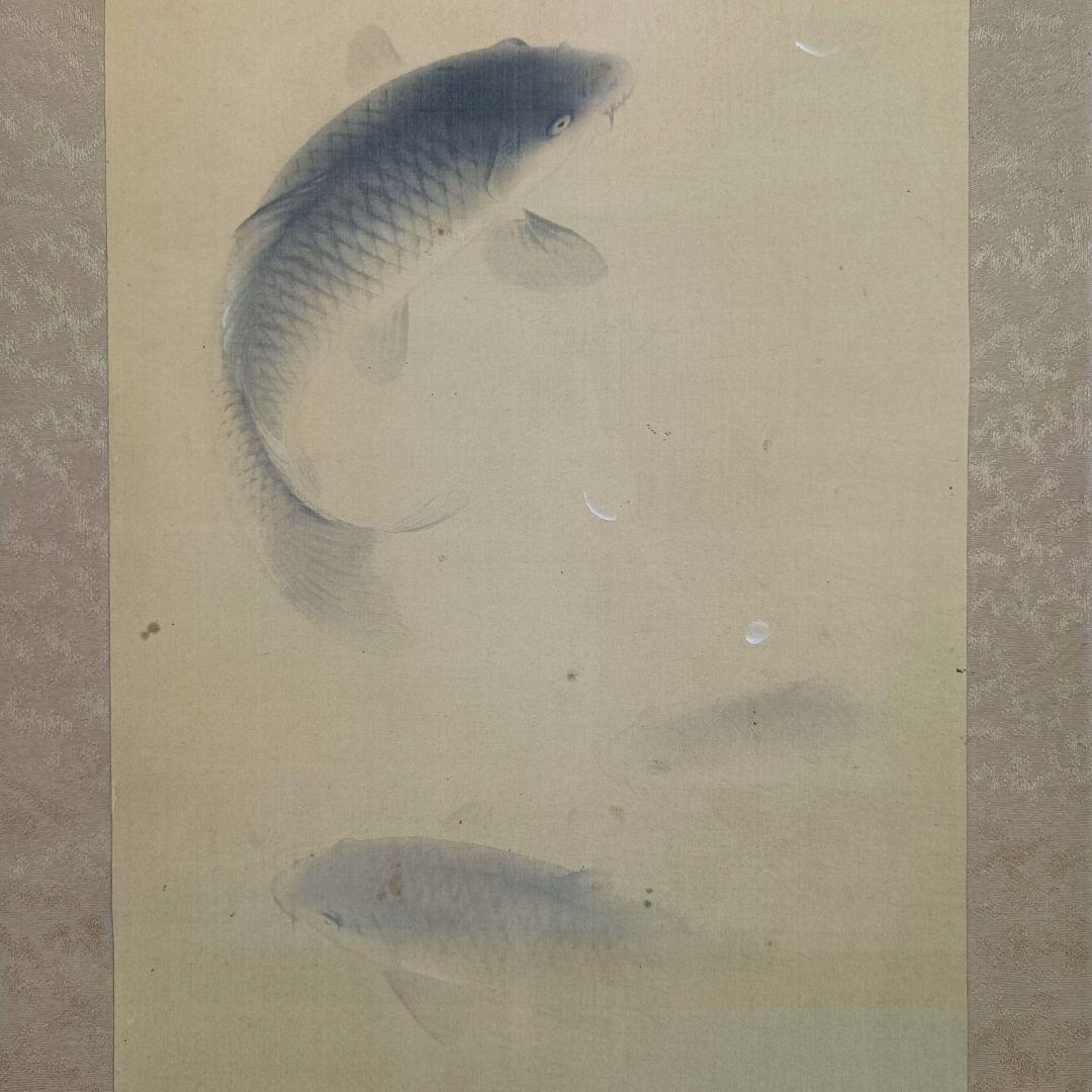 Yocchan 松田杏亭 掛軸 開運 縁起物 おもてなし 鯉 桜 日本美術