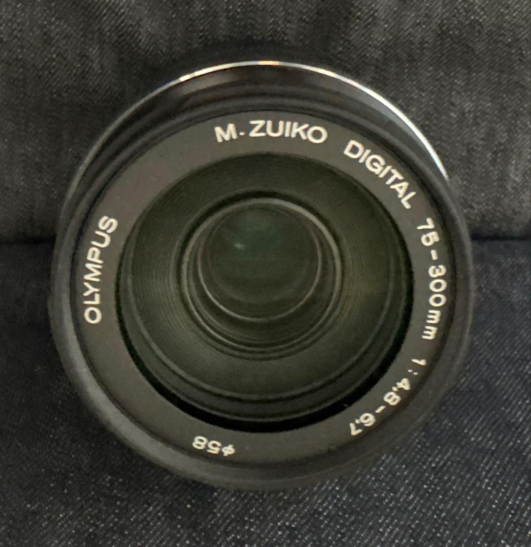 オリンパスOM-D E-M10 Mark II 望遠レンズ75-300mmセット