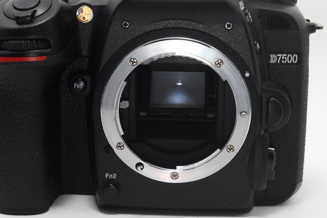 Nikon D7500 ダブルレンズ 極上美品☘️家族写真に　超高性能 高画質