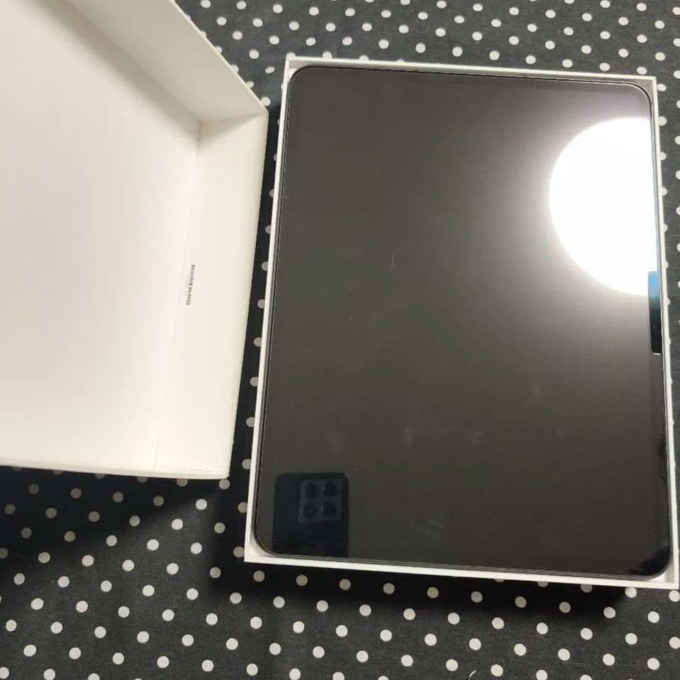 iPad本体 iPad Pro 13 M4 Wi-Fi + Cellular 256