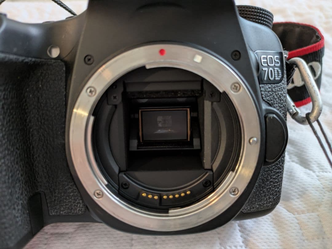 Canon EOS 70D デジタル一眼レフ　レンズ2本付き