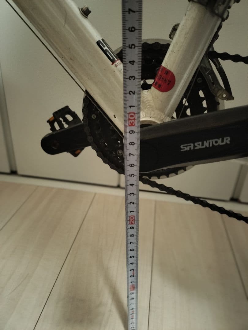 ルイガノ LOUIS GARNEAU J22 ジュニア バイク