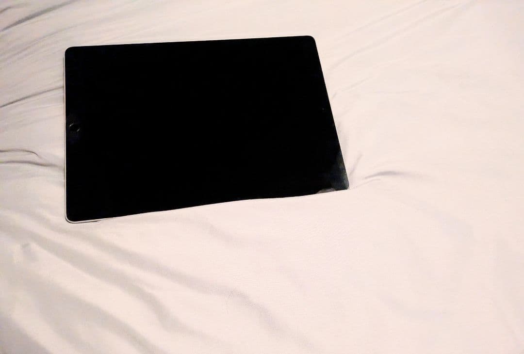 iPad Pro 12.9インチ 第2世代 64GB色ムラ変色なし。