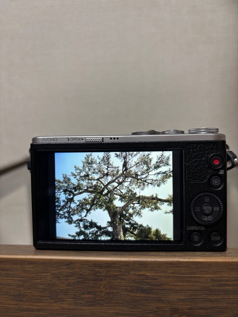 LUMIX DMC-GM1 本体と付属品、別購入レンズ2個セット
