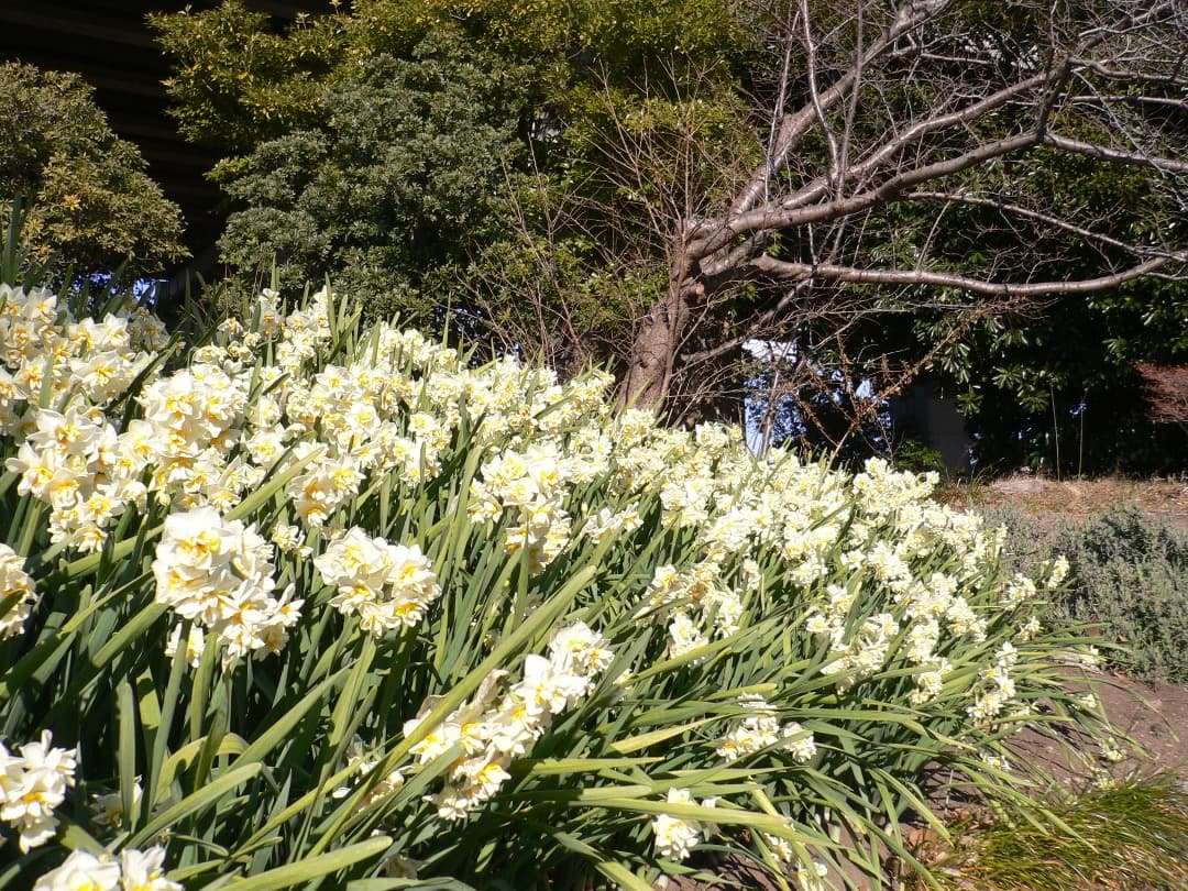 追加あり⭕️良品【動作確認済】パナソニック LUMIX DMC-FX7 シルバー