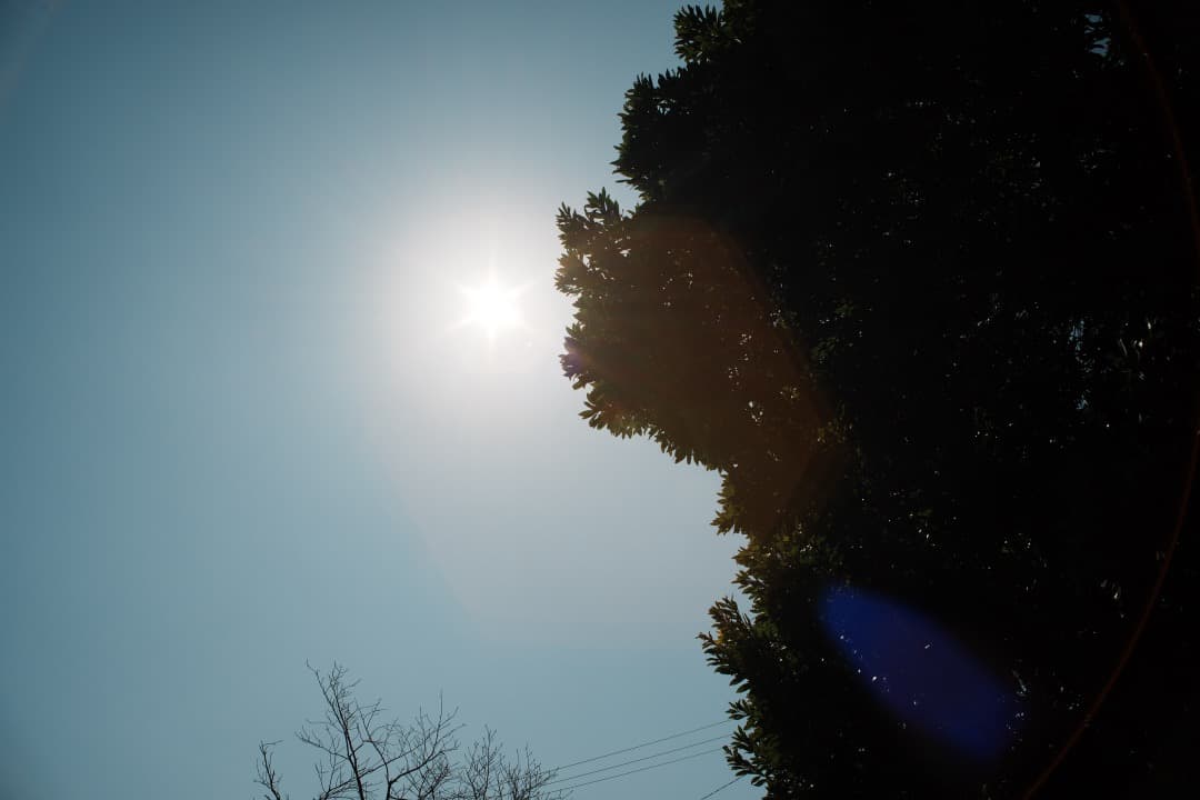 【美品】動作◎ オリンパス Zuiko auto-w 24mm F2.8 930