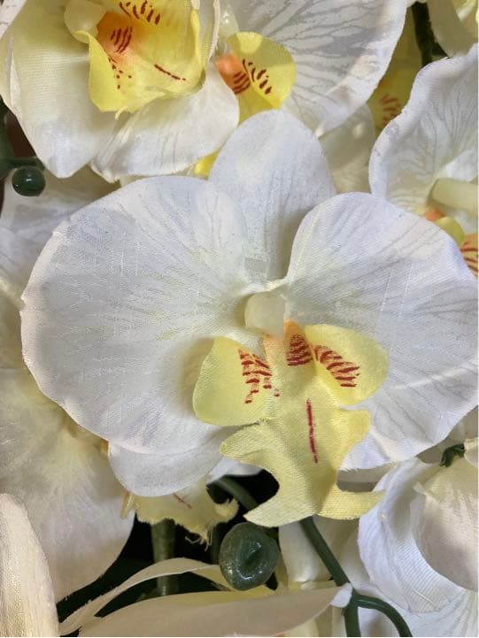 光触媒　人工観葉植物　ウォールグリーン　フェイクグリーン　胡蝶蘭10本gj