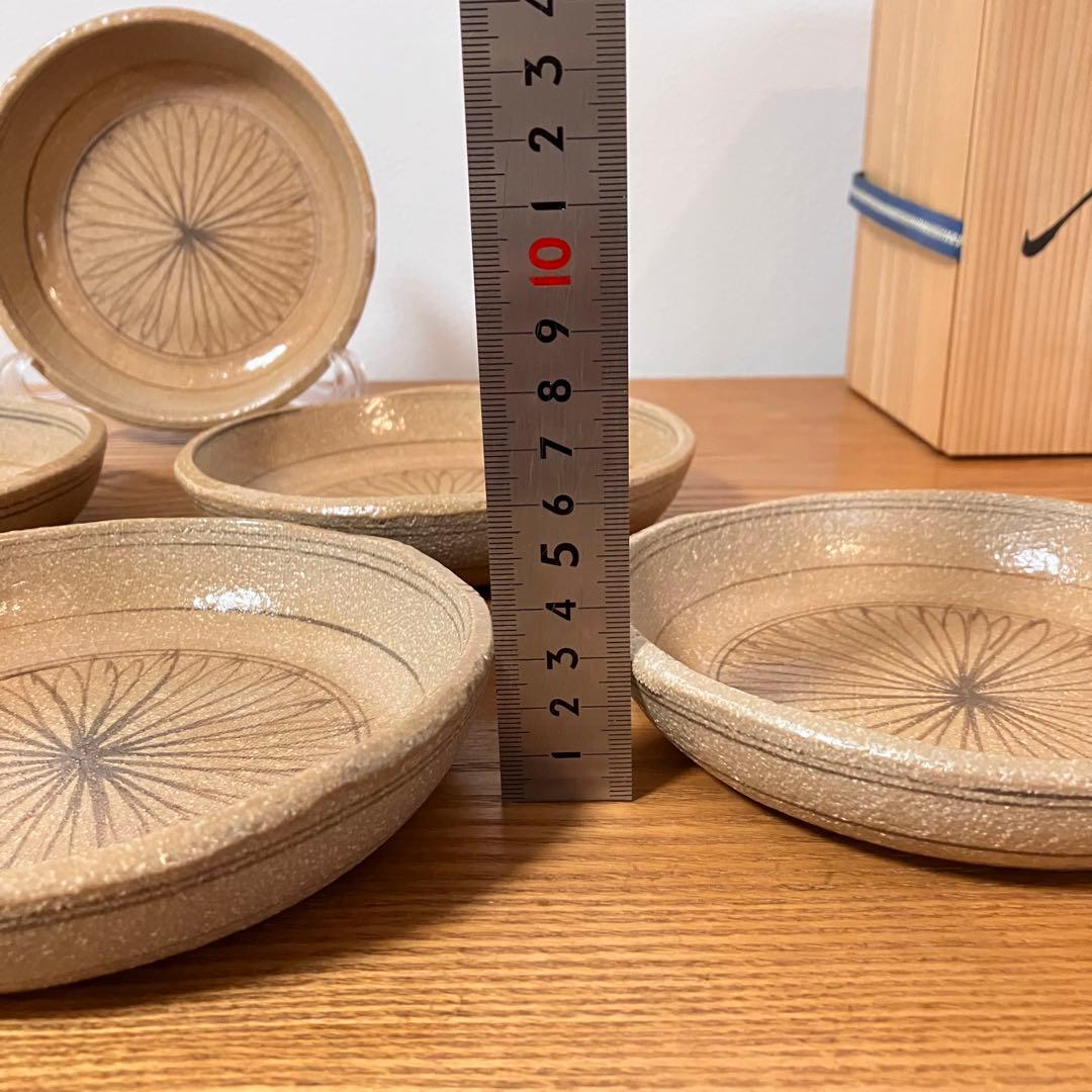 瀬戸唐津　菊花文　鉢　皿　5枚