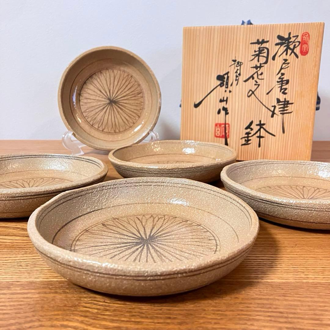 瀬戸唐津　菊花文　鉢　皿　5枚
