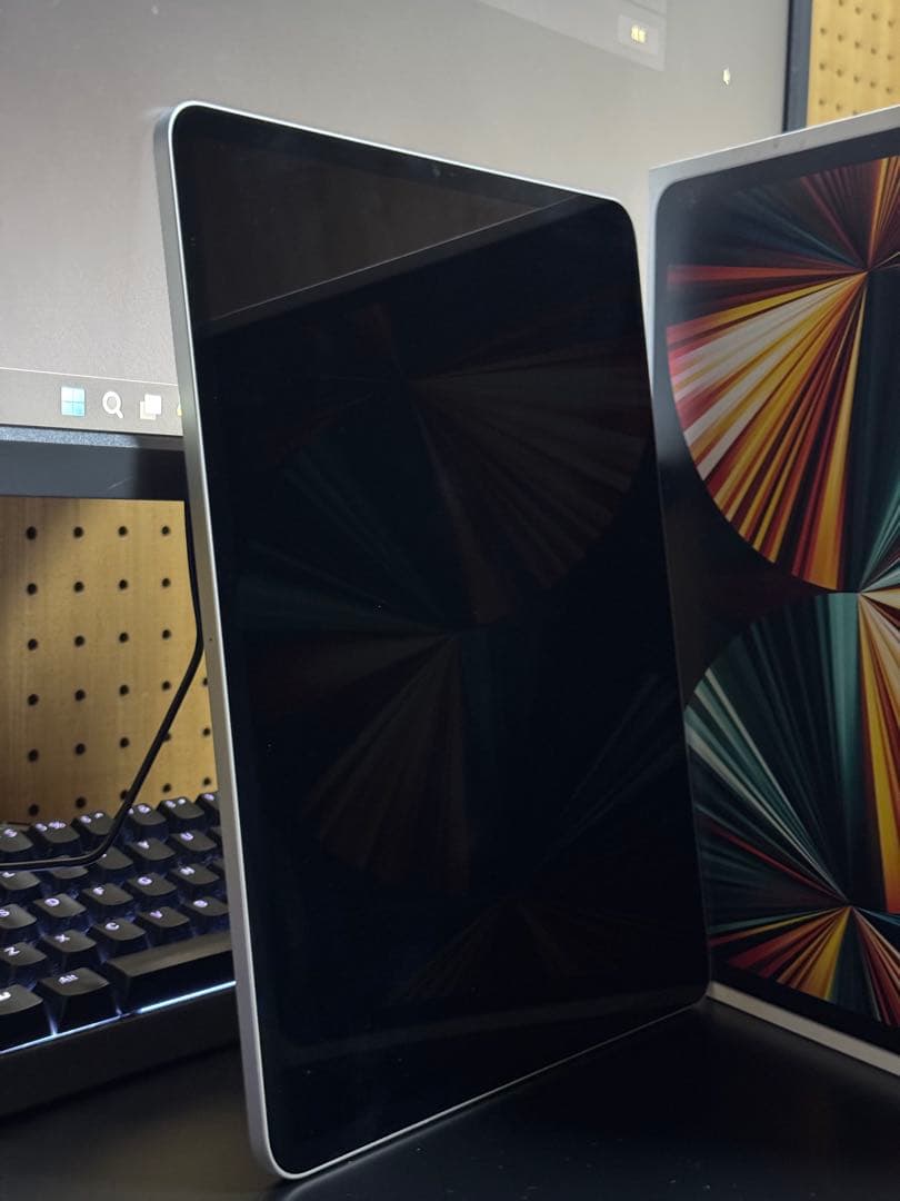 K*n様 おまけ多 iPad Pro 12.9 第5世代1TB Apple Pe