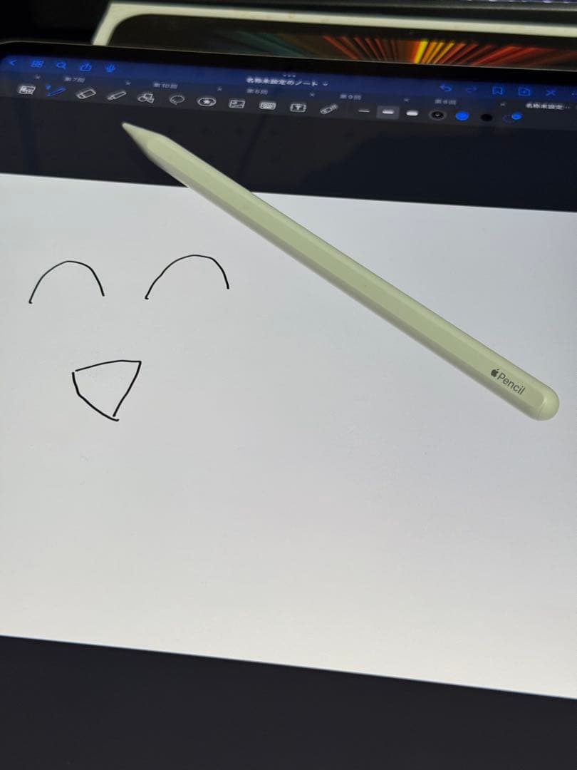 K*n様 おまけ多 iPad Pro 12.9 第5世代1TB Apple Pe