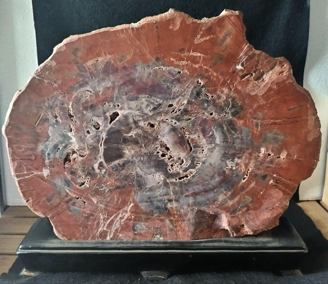 アリゾナ州産 珪化木 大迫力 32kg 木化石 木石 前落札者