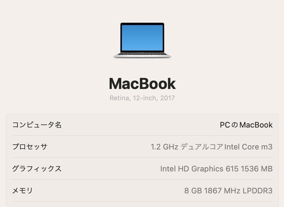 美品 MacBook 12インチ 2017 /m3/8GB/256GB No1