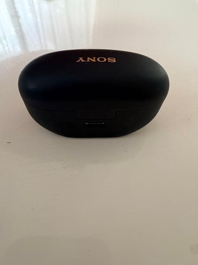 イヤホン WF-1000XM5