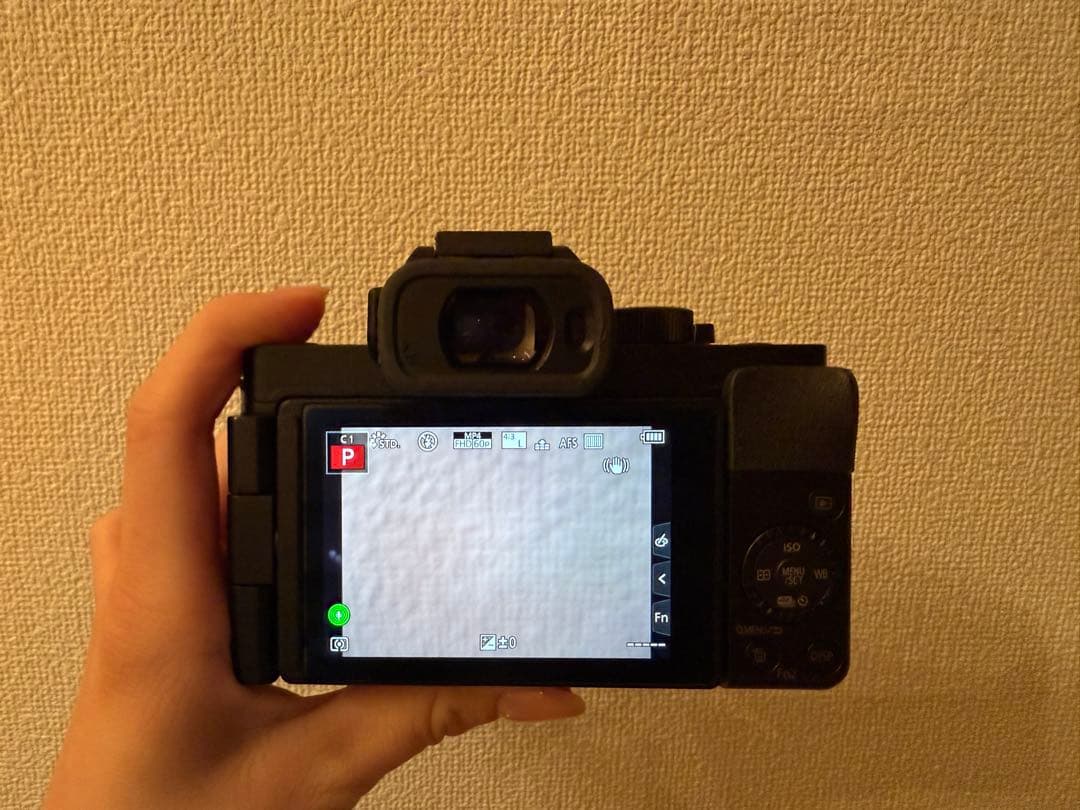 【ピッコロ】LUMIX DC-G100D コンパクトデジタルカメラ