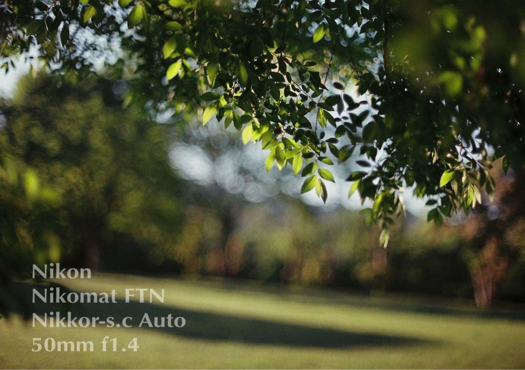 ニコン FTN &ニッコール f1.4★完動品！動作確認済＊返品保証付＊作例多数