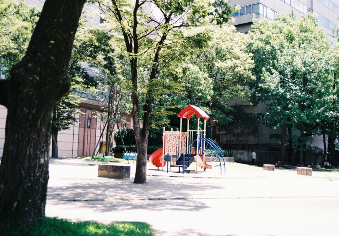 Nikon F4 動作確認済み 使用感少 純正ストラップ、説明書付き 作例あり