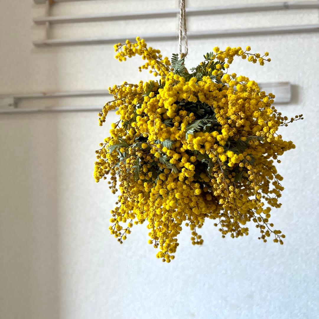 ミモザリース　ミモザボール　ミモザフライングリース　ミモザフライングスワッグ