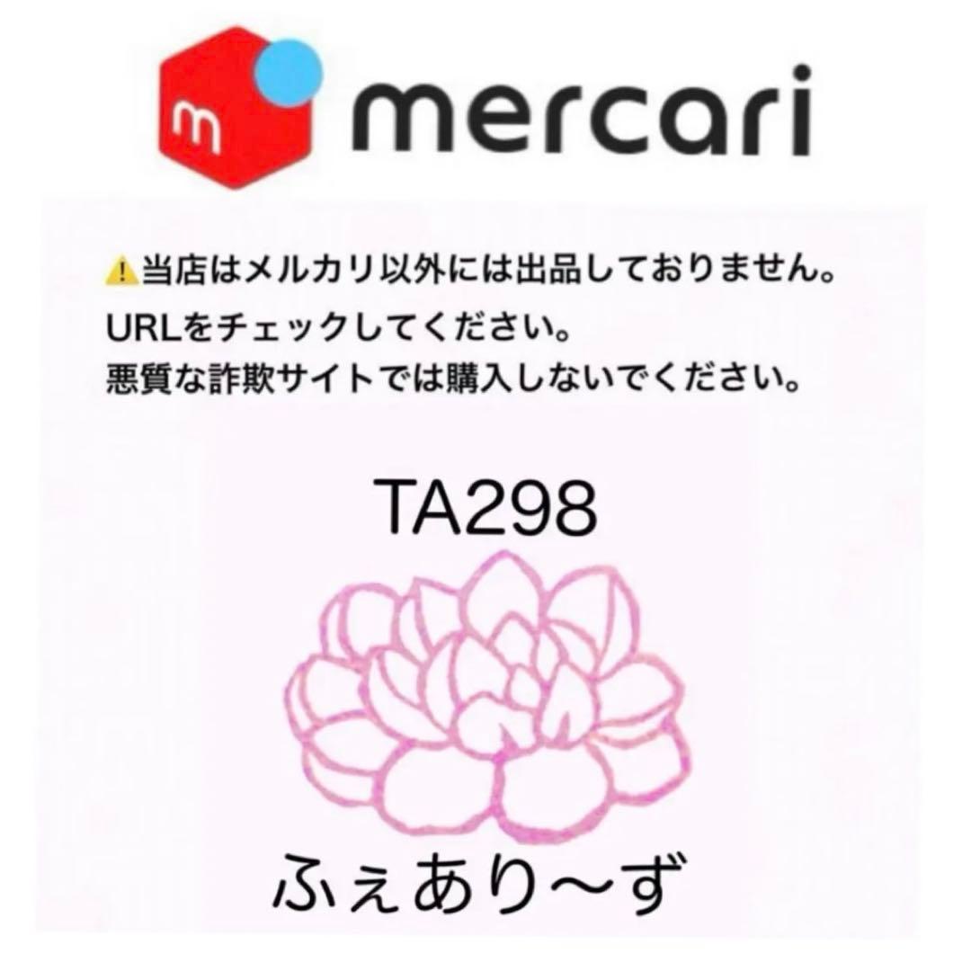 【レア@3480】モロキニエンシス (大群生)