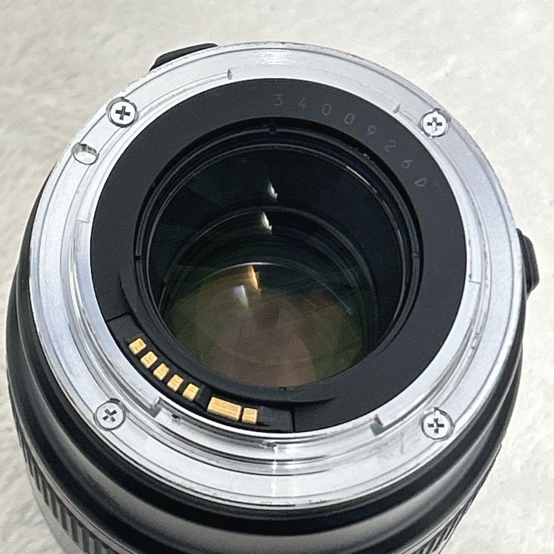 CANON キャノン EF マクロ 100mm F2.8 EFマウント レンズ