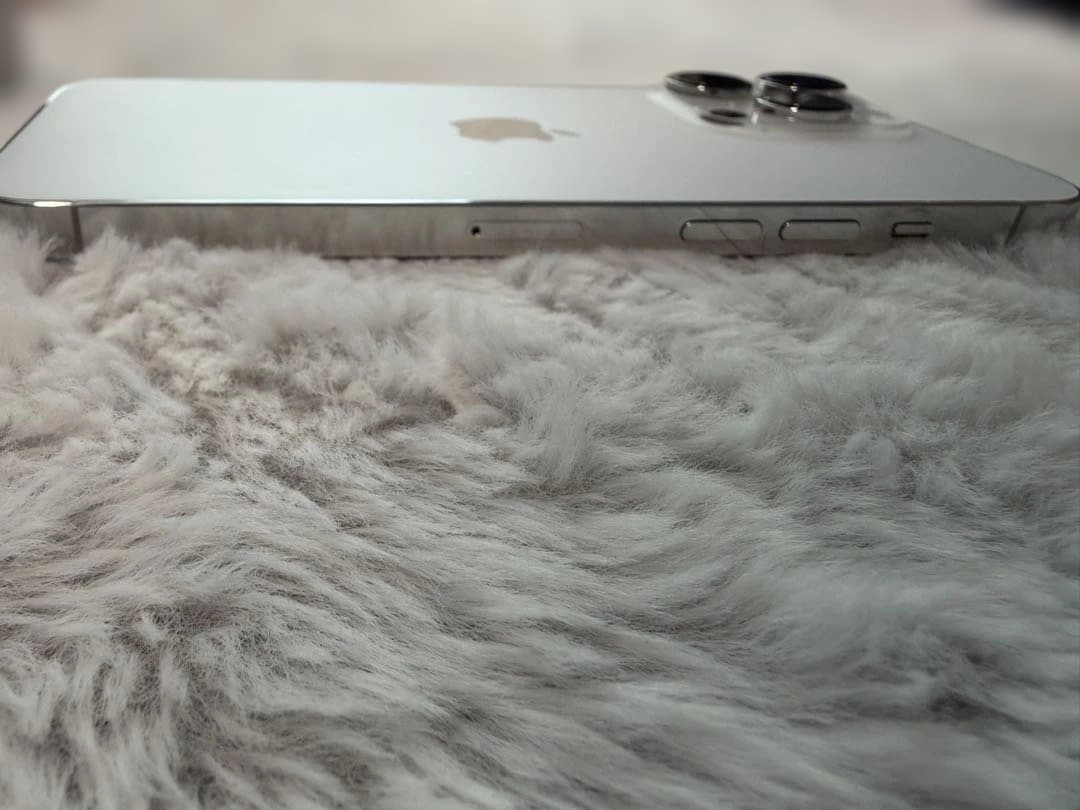 【匿名配送】iPhone 14Pro Max シルバー 256GB SIMフリー