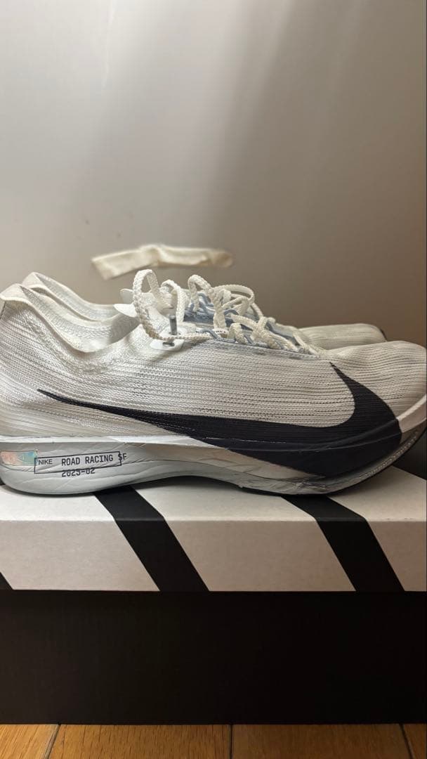 ストリークフライ2 25cm