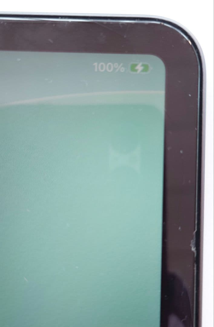 iPadPro　11インチ　第1世代　512GB