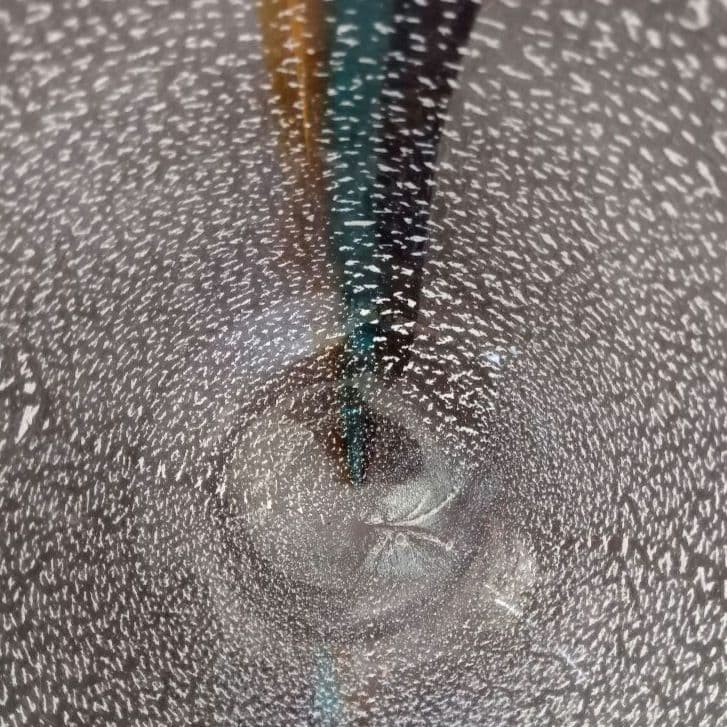 最終価格 ムラーノ ザネッティ MURANO Zanetti 花瓶/置物