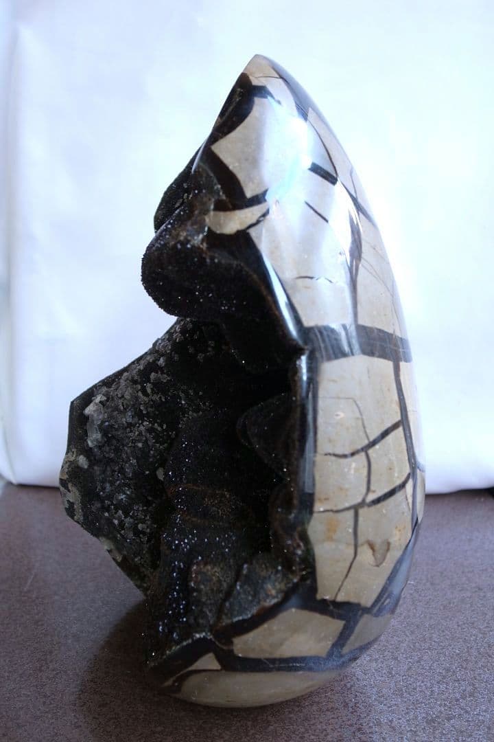 原石タートルジャスパー