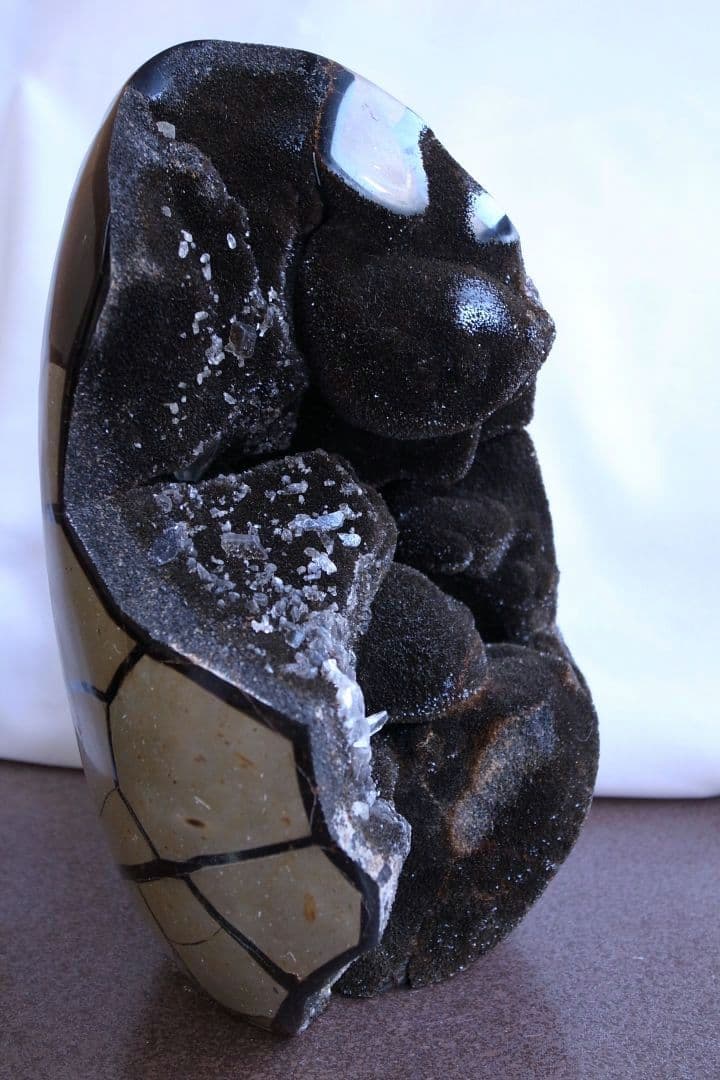 原石タートルジャスパー