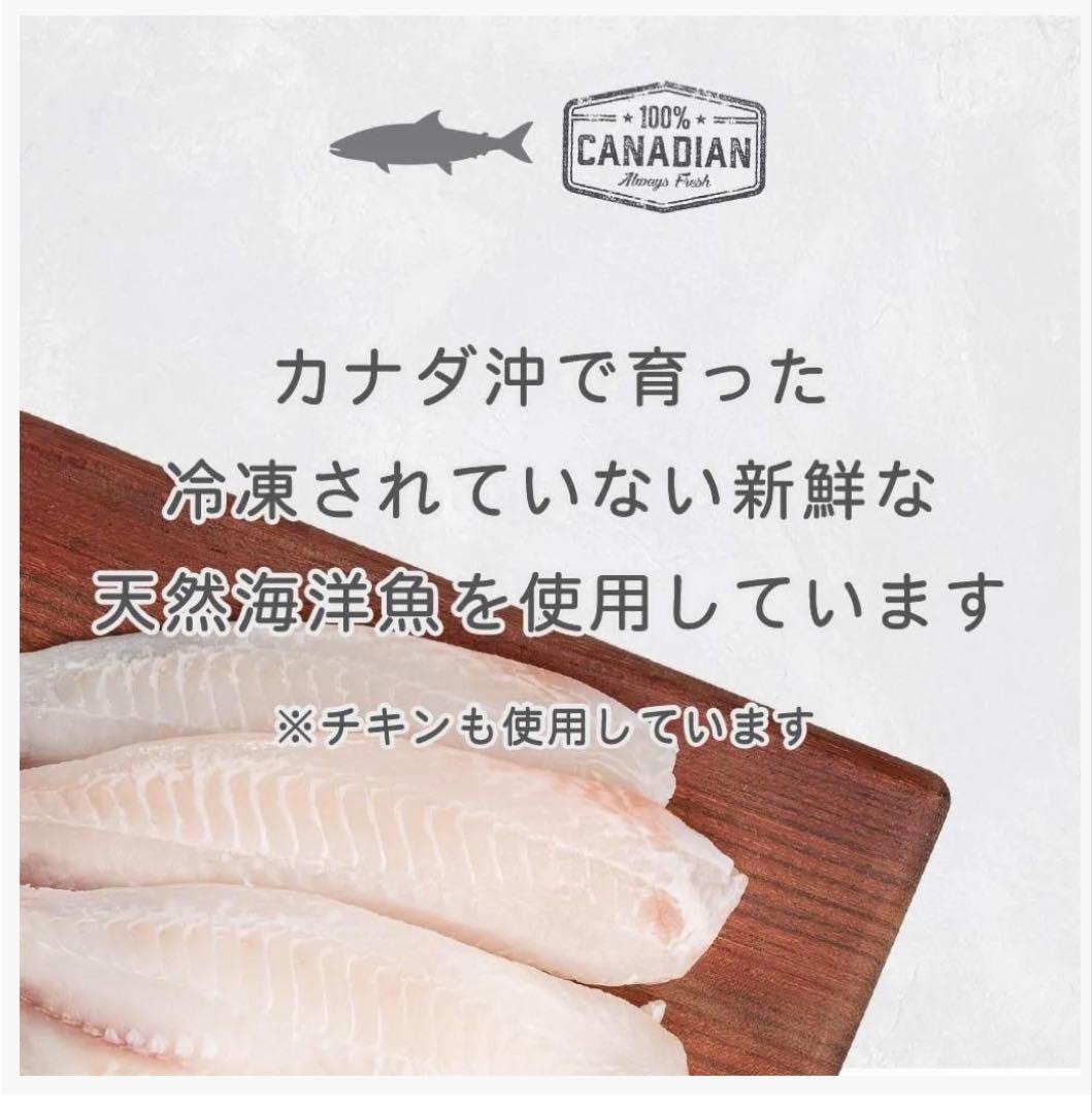 Nutrience Infusion Healthy Adult ドッグフード