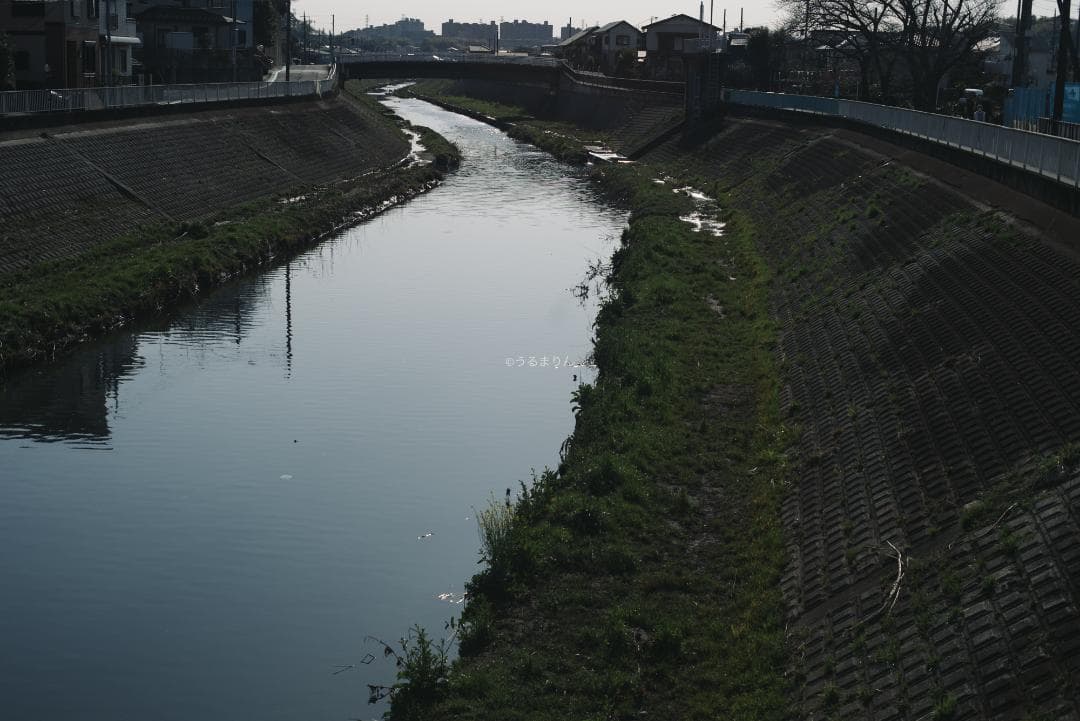 羽瀬川様Super-Takumar 50mm f1.4 前期 オールドレンズ