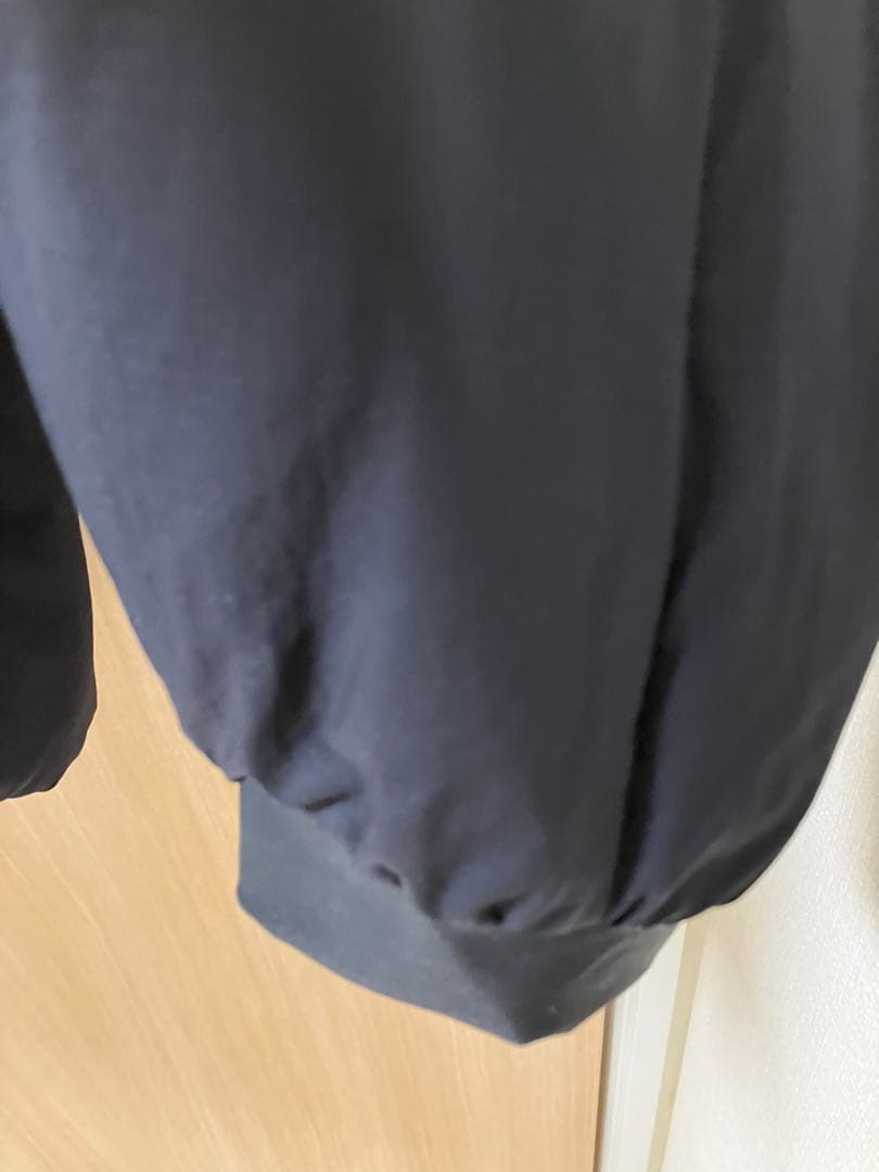 Arc'teryx ATOM AR HOODY アトム AR フーディ