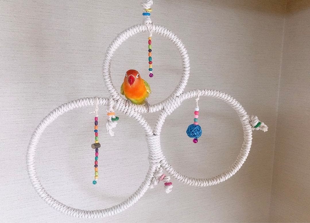 どこに止まろかな？ブランコ２　おもちゃ付き♪