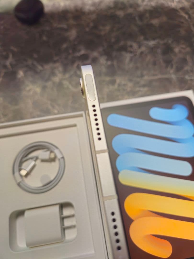 iPad mini（第6世代）Wi-Fi + Cellularモデル 256GB