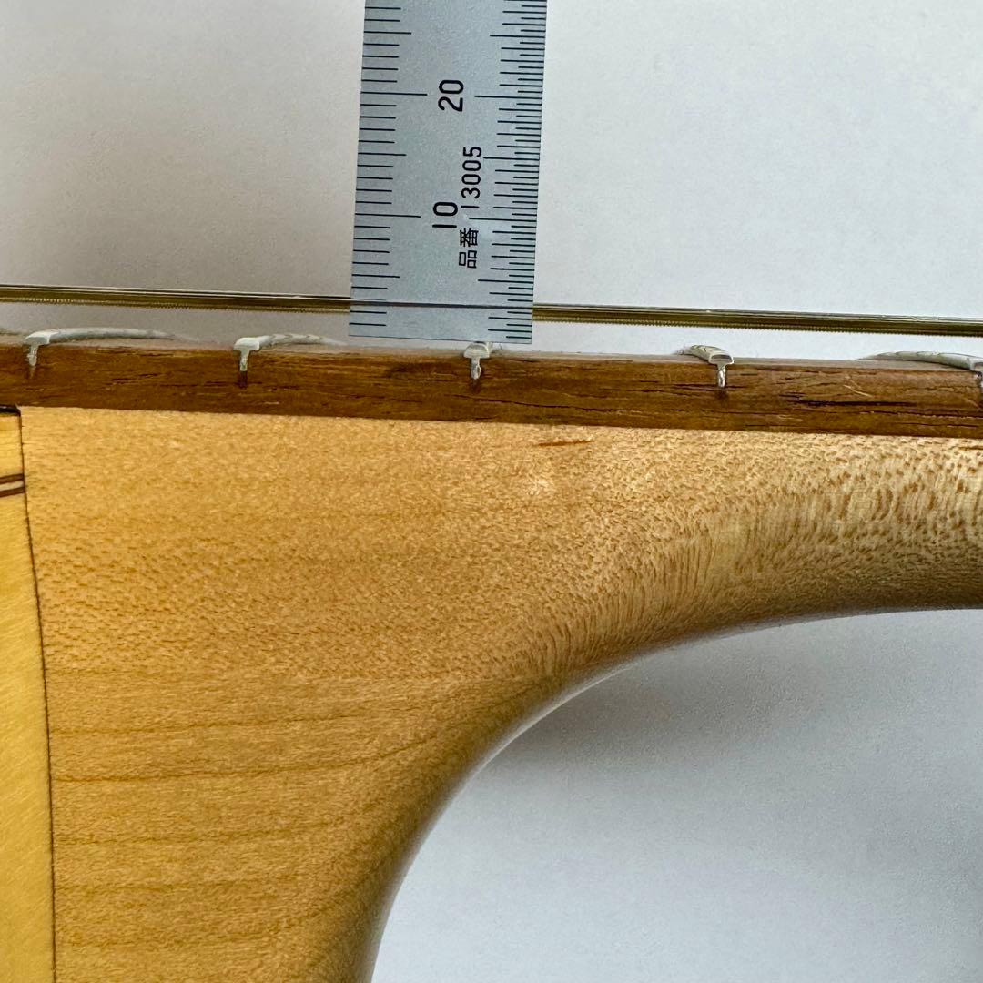 【訳あり】 Seagull シーガル AT SG T35 エレアコ アコギ