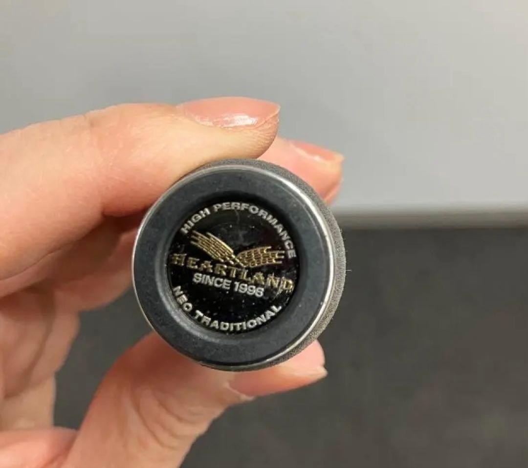 【希少】ダイワ ハートランド HL 6101MSB-SV12 釣り竿