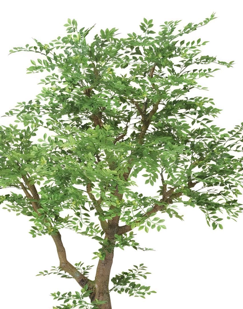 光触媒　人工観葉植物　フェイクグリーン　ゴールデンリーフコアッド