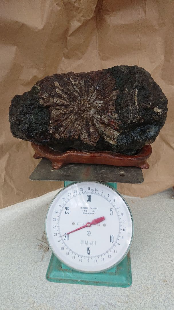 存在感抜群!!!!　菊花石　置物　骨董　インテリア