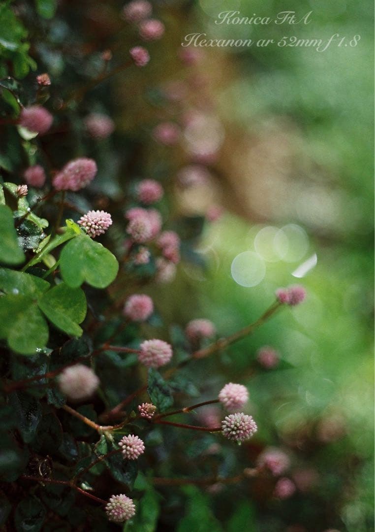 ★完動品＊美品★コニカfta／hexanon 52mm f1.8★初期保証