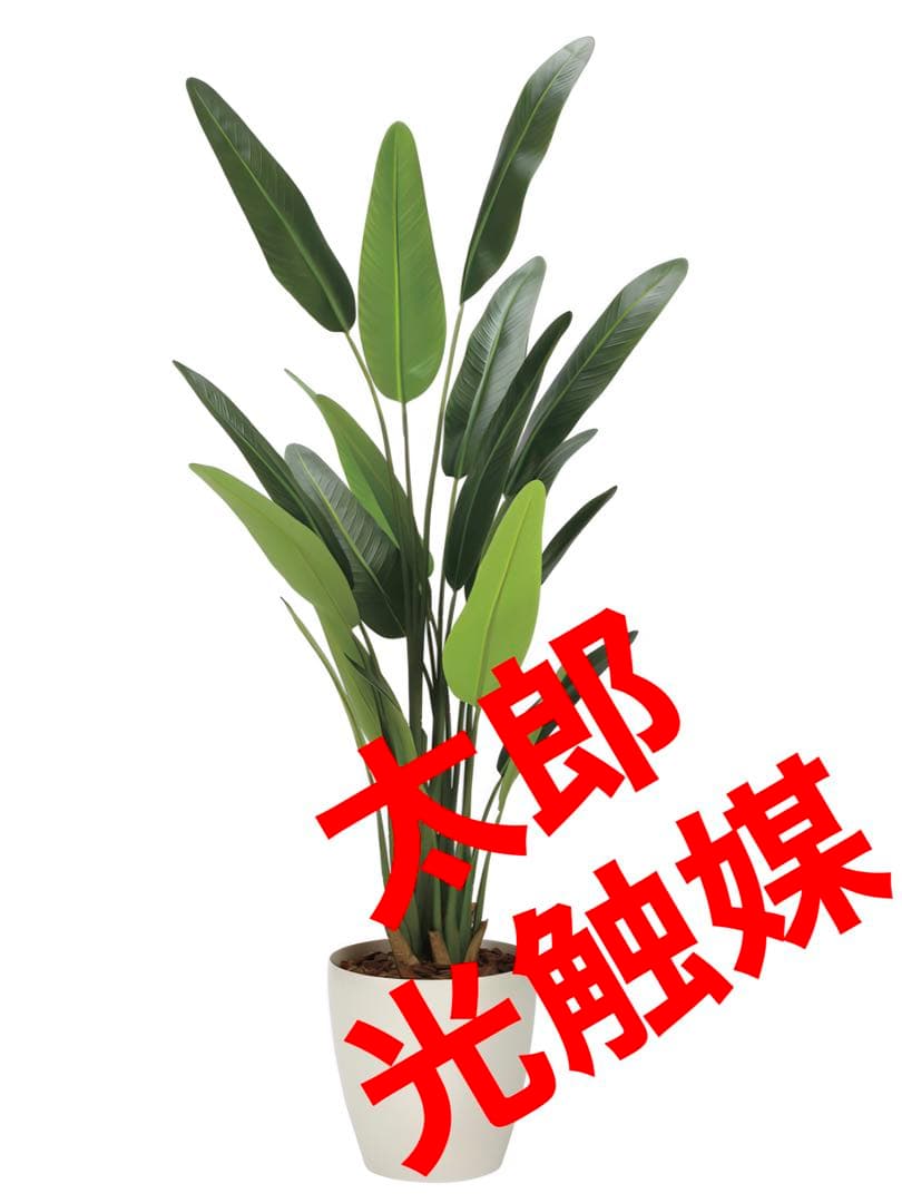 光触媒　人工観葉植物　フェイクグリーンフレッシュトラベラーズパーム1.55m